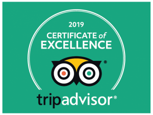 tripadvisor certificate of excellence